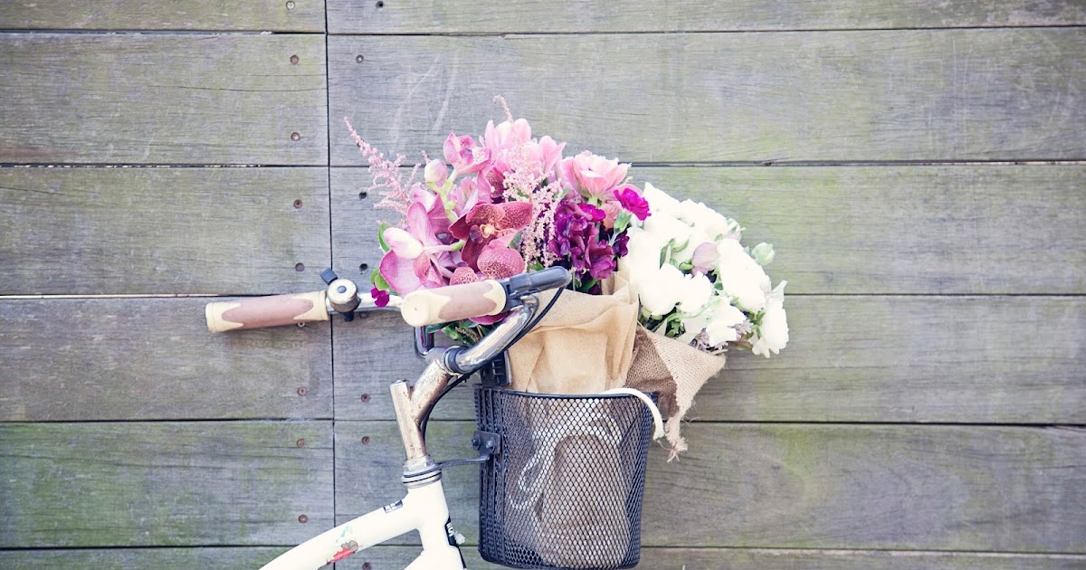 Urban Flower Our Flowers in Rouse Hill Regional Park