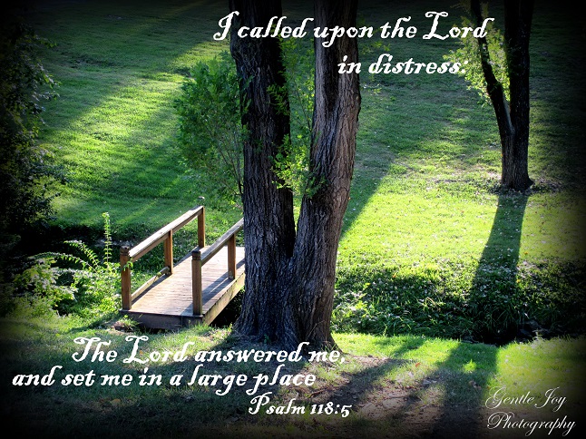 Gentle Joy Photography: Thoughtful Pictures