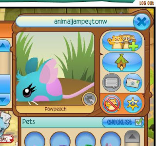 Animal Jam Animal Codes Animal Jam Animal Codes