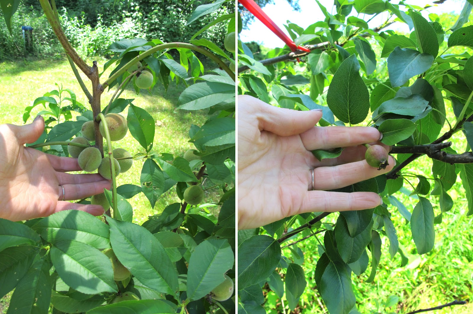 Vintage by Crystal: June 2013