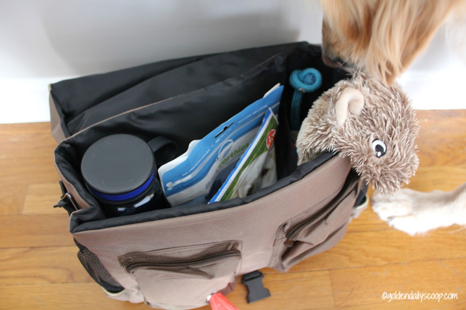 Solvit Makes Traveling With Your Pet Easy