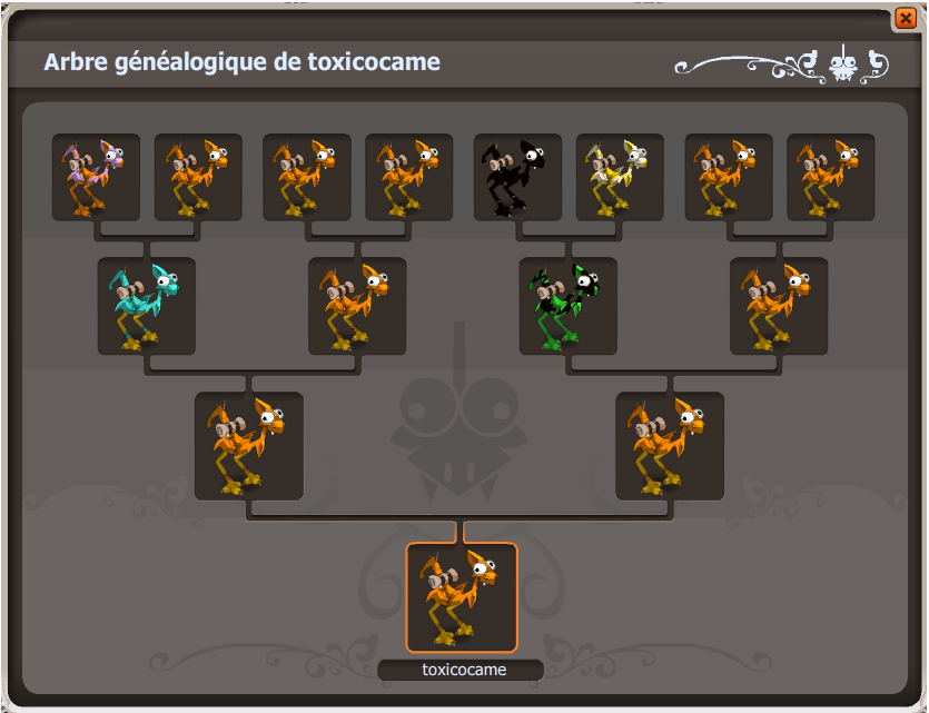 Guide d'élevage des Dragodindes Dofus Partie I Dysn Feca 200 du