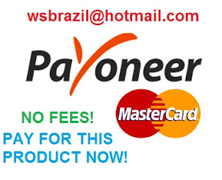  payoneer