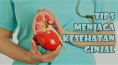 Beberapa Makanan Yang Dapat Memelihara Kesehatan Ginjal Beberapa Makanan Yang Dapat Memelihara Kesehatan Ginjal