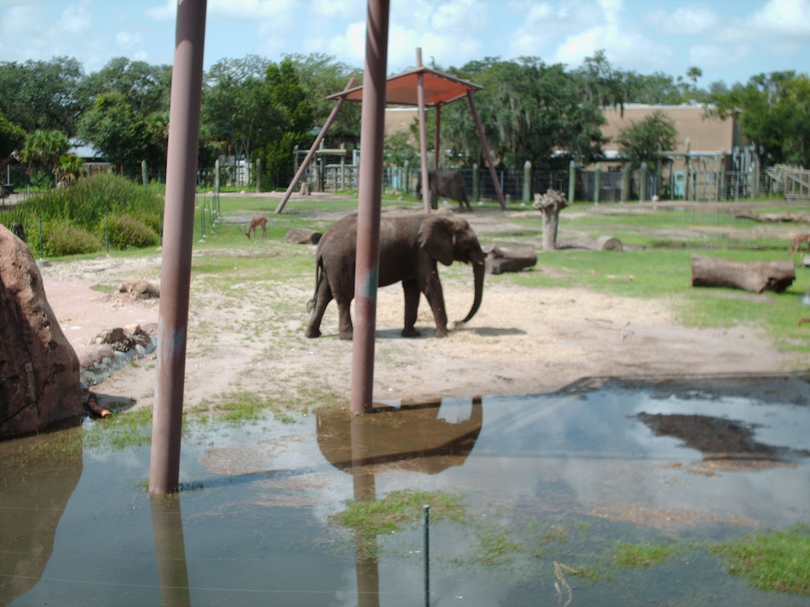 ZooZooReview Lowry Park Zoo, Tampa, FL