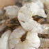 Freshwater Shrimp Suppliers with Best Product Technology