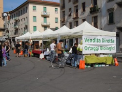 Wycieczka do Fucecchio oraz Swięto Owocków