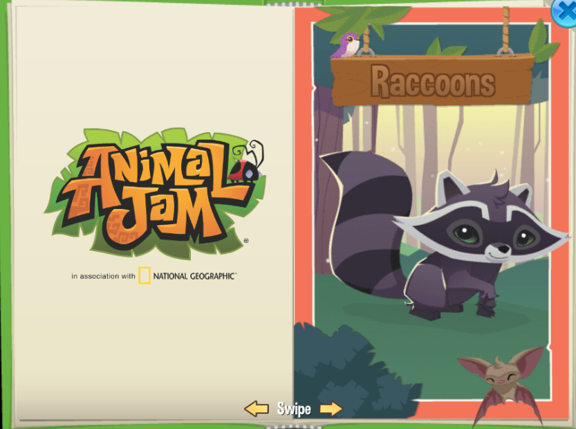 Animal Jam Spirit Blog Raccoons Come To Play Wild