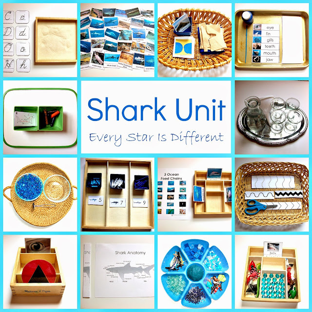 Shark Unit with Free Printables