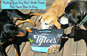 3 resuce dogs with tylees frozen dog food chewy