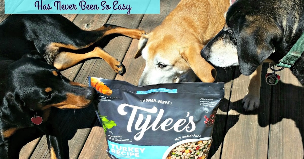 Lapdog Creations Tylee's HumanGrade Dog Food 30 Day Challenge 