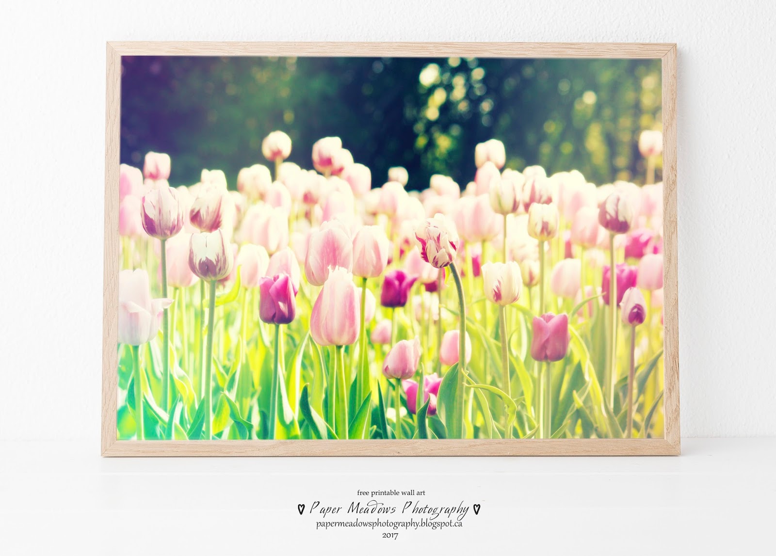 Paper Meadows Photography Tulip Garden Wall Art Free Printable.