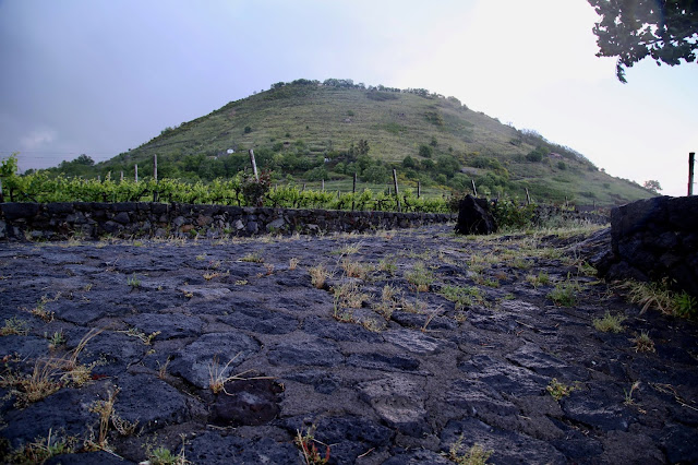 mount Etna wines, Nicosia winery, Sicily,