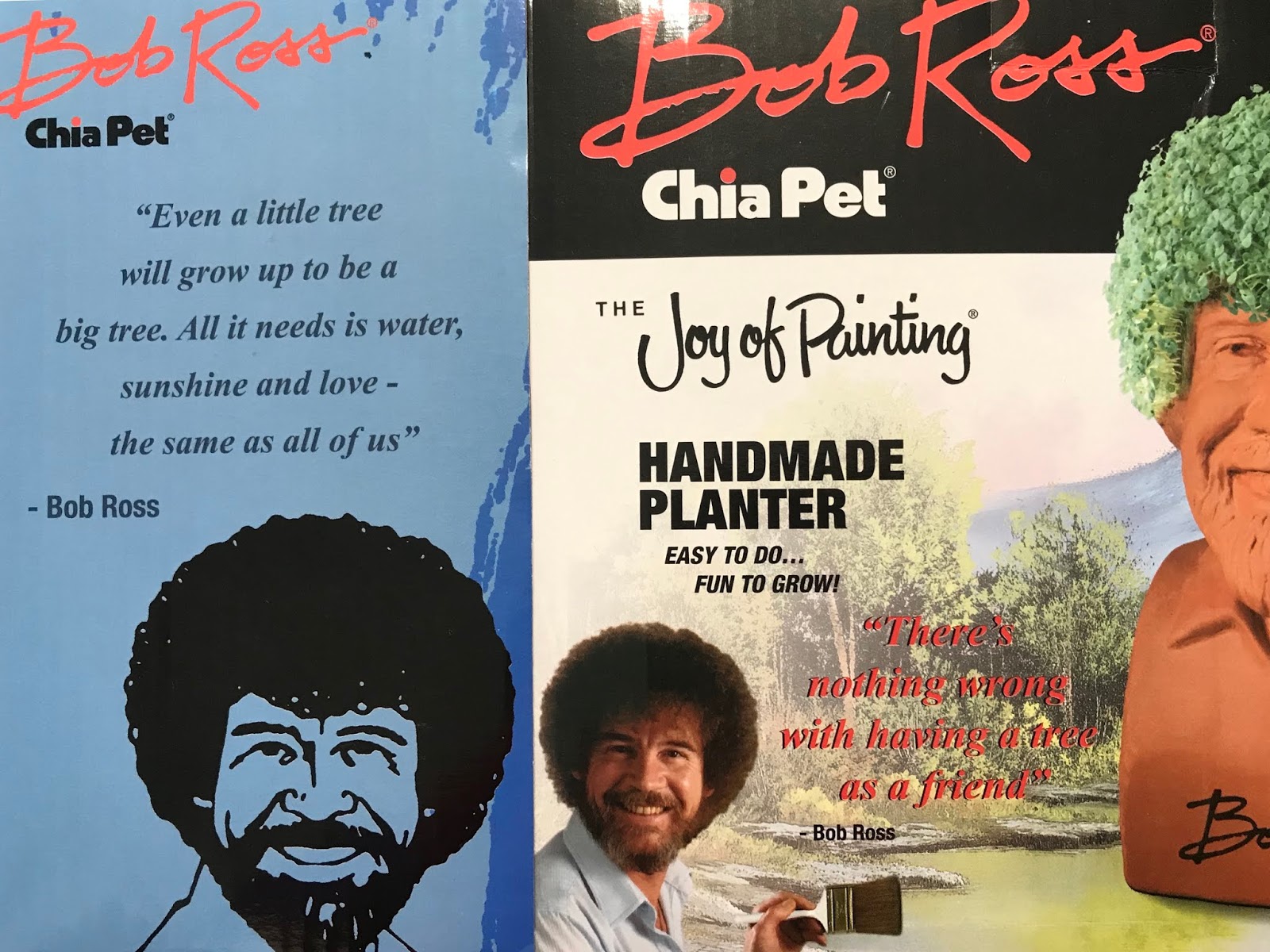 Our Joyful Journey: Bob Ross Chia Pet