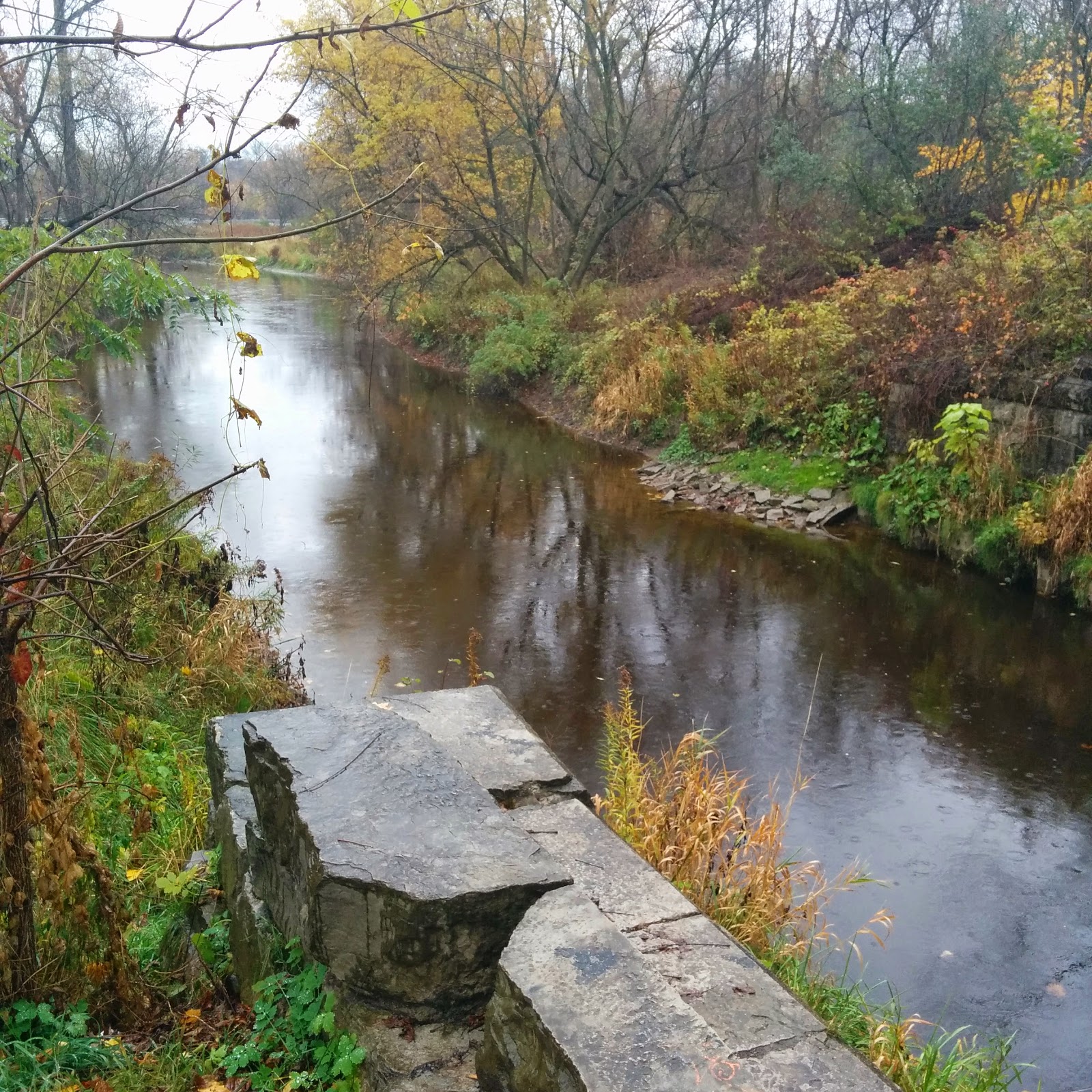 Will we lose lower Spencer Creek Trail? Is that a bad thing or a trade off for the environment?