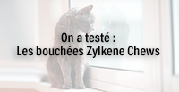  On a testé : Les bouchées Zylkene Chews