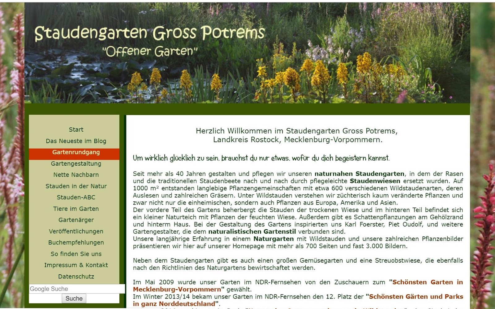 Die Kraniche Sind Da Kraniche Am Saaler Bodden Ostsee