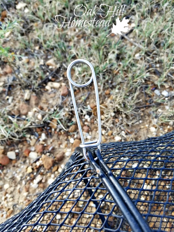 Snake Trap Success Oak Hill Homestead