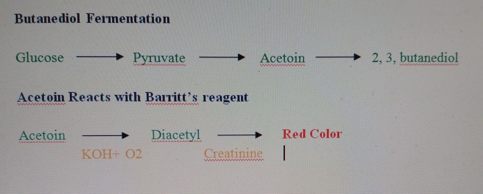 SENTHIL PRABHU SIVASAMY Voges Proskauer (VP) Test (Non acid end product test)