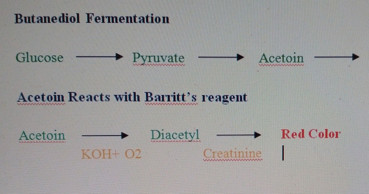 SENTHIL PRABHU SIVASAMY Voges Proskauer (VP) Test (Non acid end product test)
