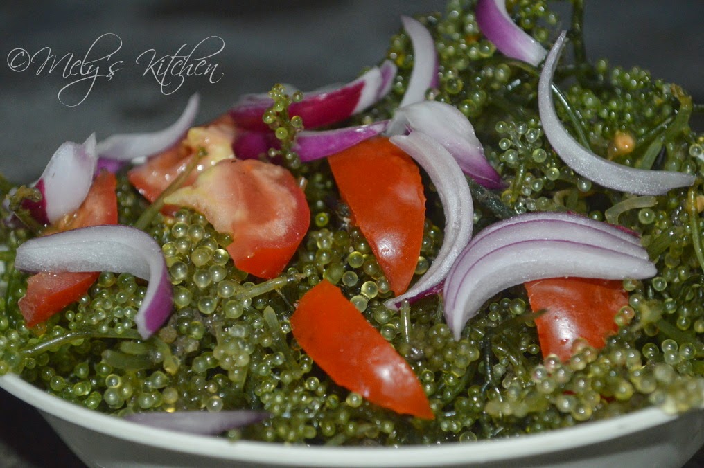 lato guso lukot lato guso lukot