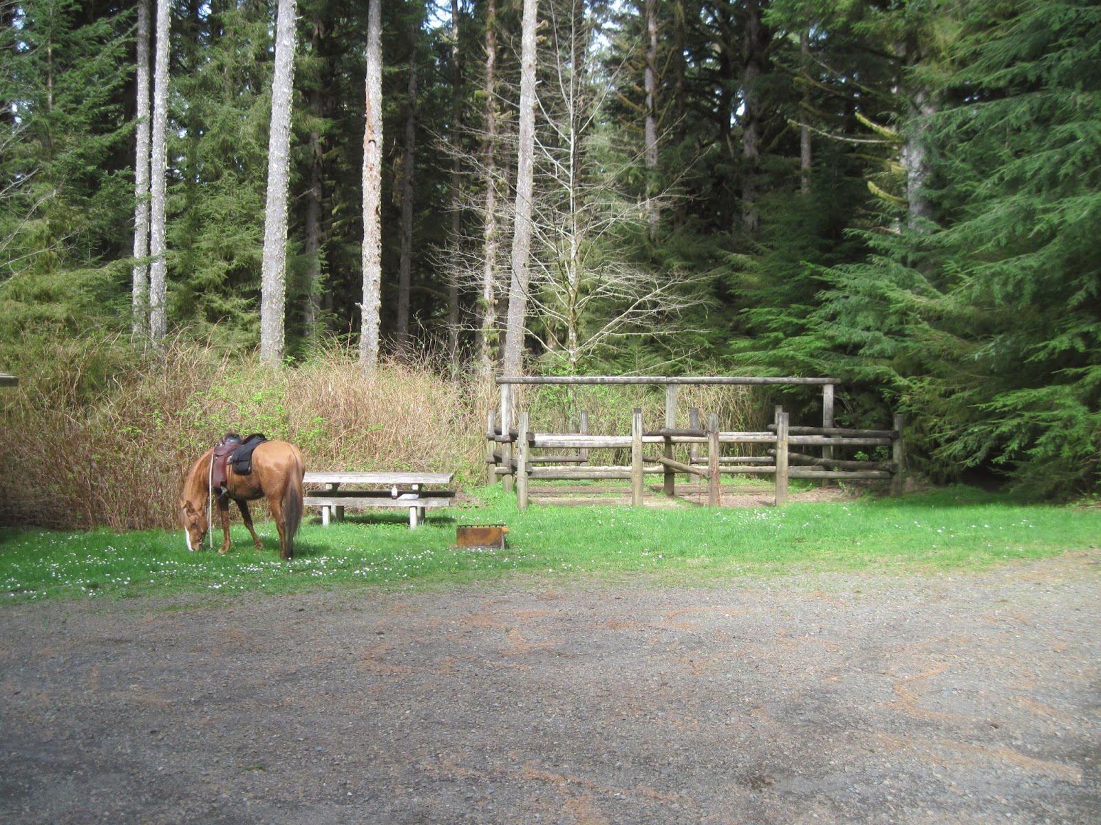 Holly's Horse Tales and Trails Baker Beach Horse Camp and the Cape