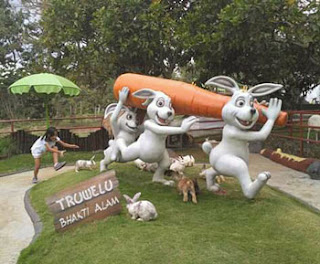 Agrowisata Bhakti Alam, Ngembal, Pasuruan : Tempat Rekreasi, Outbound & Edukasi Serta Hunting Foto Truwelu Bhakti Alam