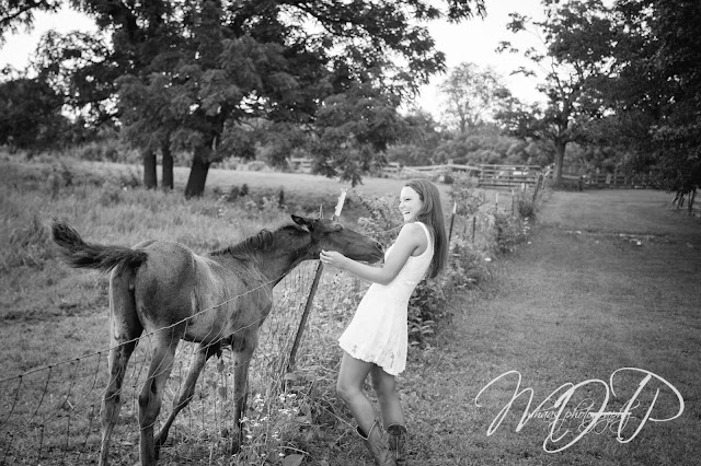 ©2015 MHaas Photography, senior portrait photographer, high school, senior pictures, louisville senior portrait photographer, horse, barn, rustic, cheerleader, Blackacre, farm, class of 2016, Assumption High School