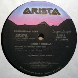 icicle works scream whisper fly birds 1983 arista adp mcnabb ian foreman gary thursday july posted