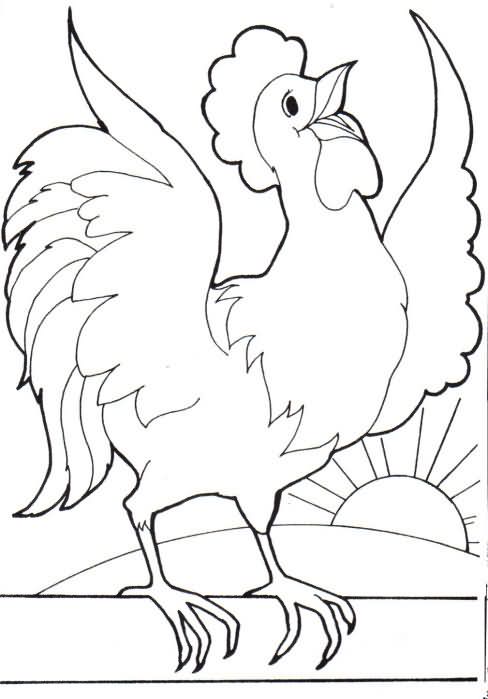 Dibujos Para Colorear Gallo