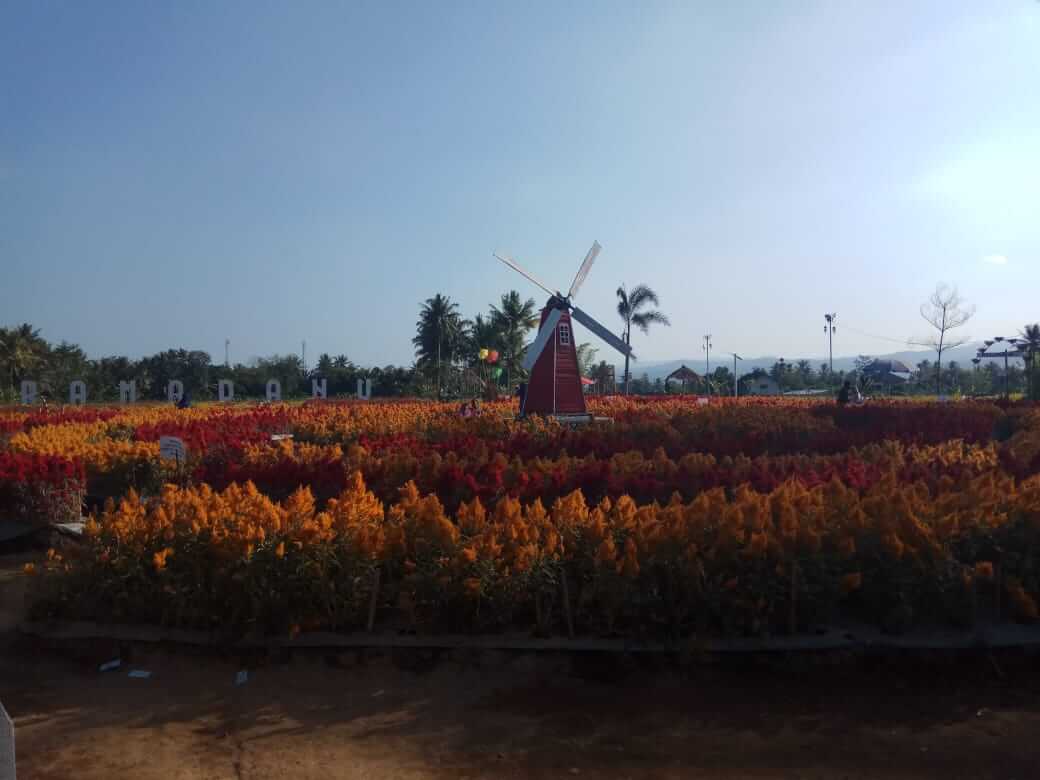 Taman bernuansa Belanda Taman bernuansa Belanda