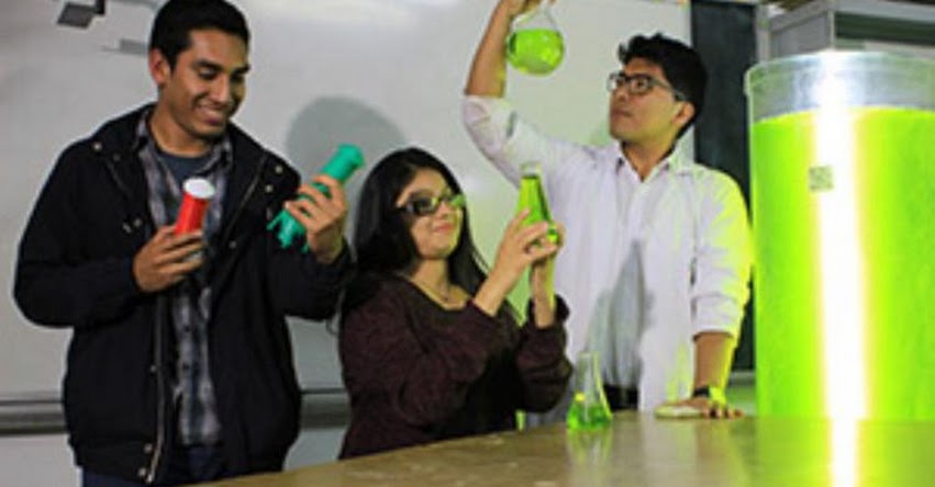 UNALM: Estudiantes de Universidad Agraria crean lámpara «viva» que purifica el aire - www.lamolina.edu.pe UNALM: Estudiantes de Universidad Agraria crean lámpara «viva» que purifica el aire - www.lamolina.edu.pe