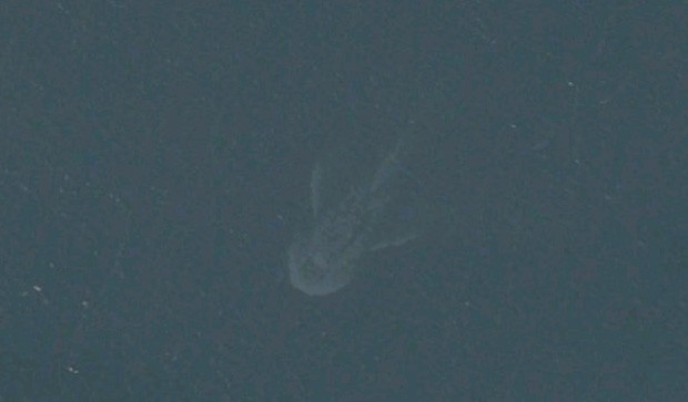 Animais Lendários: Fotos do Monstro do Lago Ness