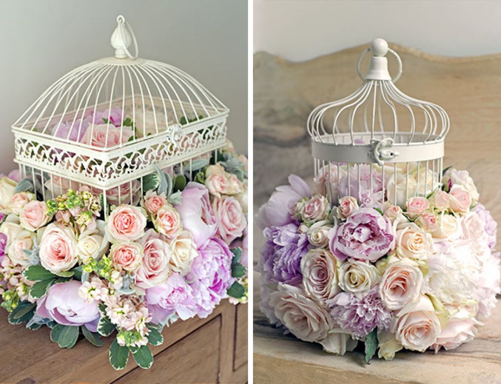 Bird In Everything Bird Cage Design Ideas