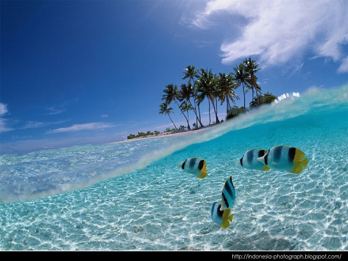 tria lestari Foto iPemandangan Pantai Terindahi di Dunia 2013 