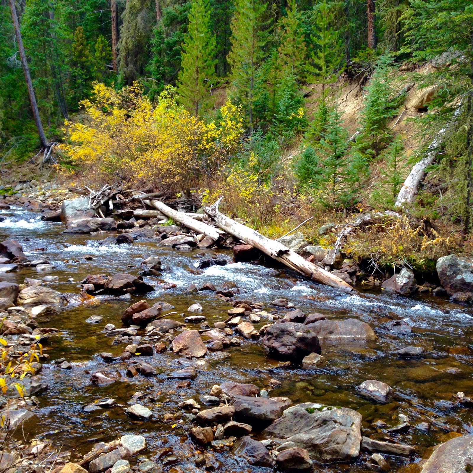 Colorado Lifestyle South Fork