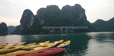 Lift the ban on kayaking to Halong cruises