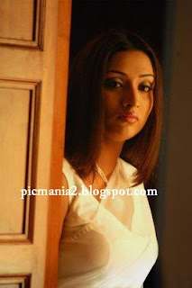 tamil film telugu actress megna nair hot transparent saree photo still