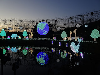 Ashikaga Flower Park illuminations