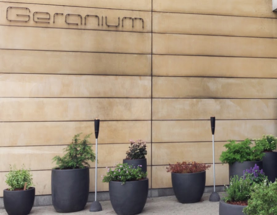 geranium-restaurante-copenhague