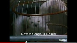 harry potter imagines you get tortured 6