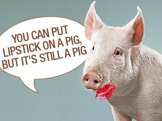 InsureBlog: Putting Lipstick on the Pig