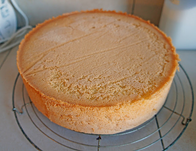 Beste Kuchen: Biskuitboden