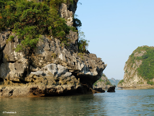 baie halong voyage vietnam tour bateau par cat ba, mer montagne paysage vietnam