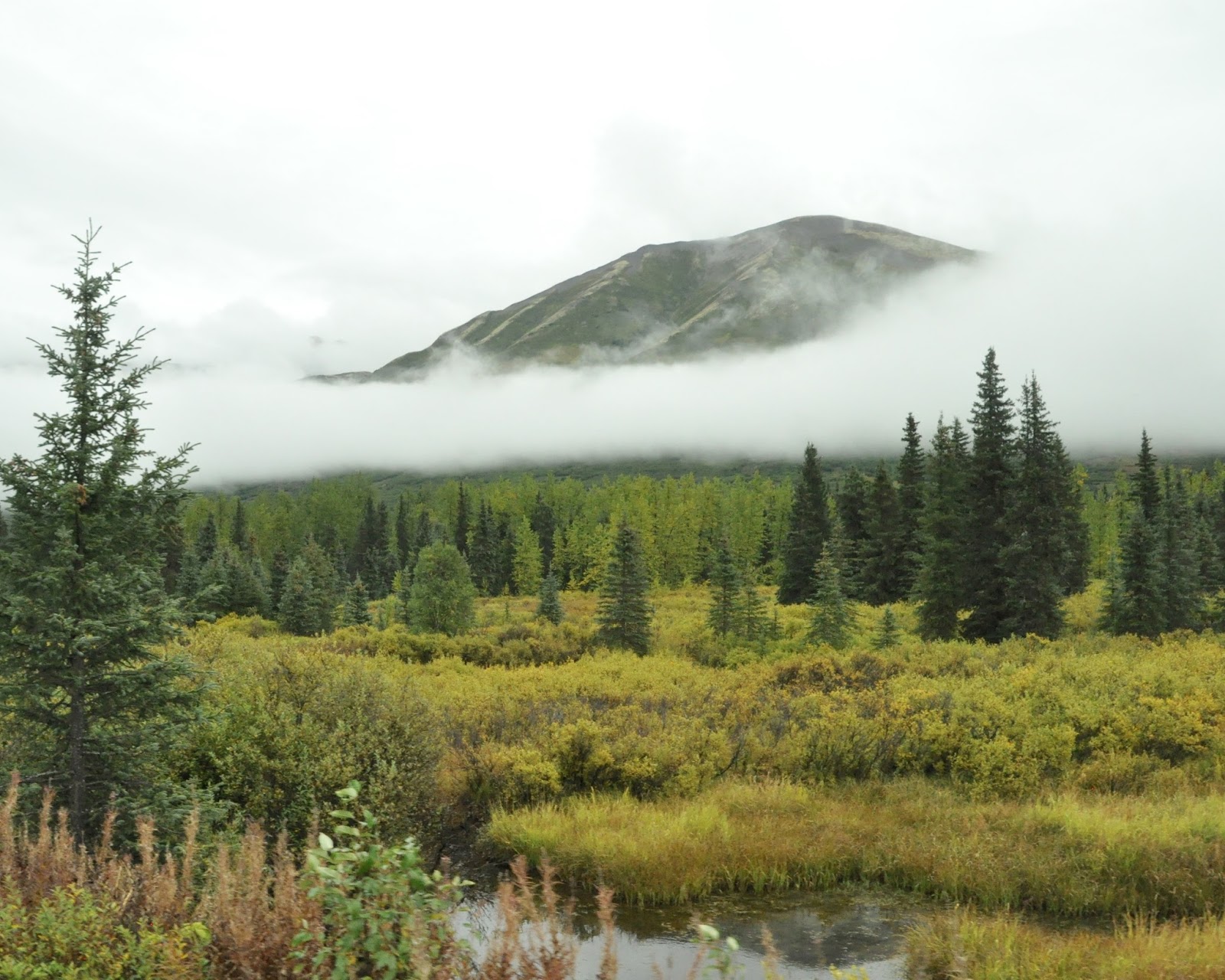 Heart Alaska Homer and the Seward Highway