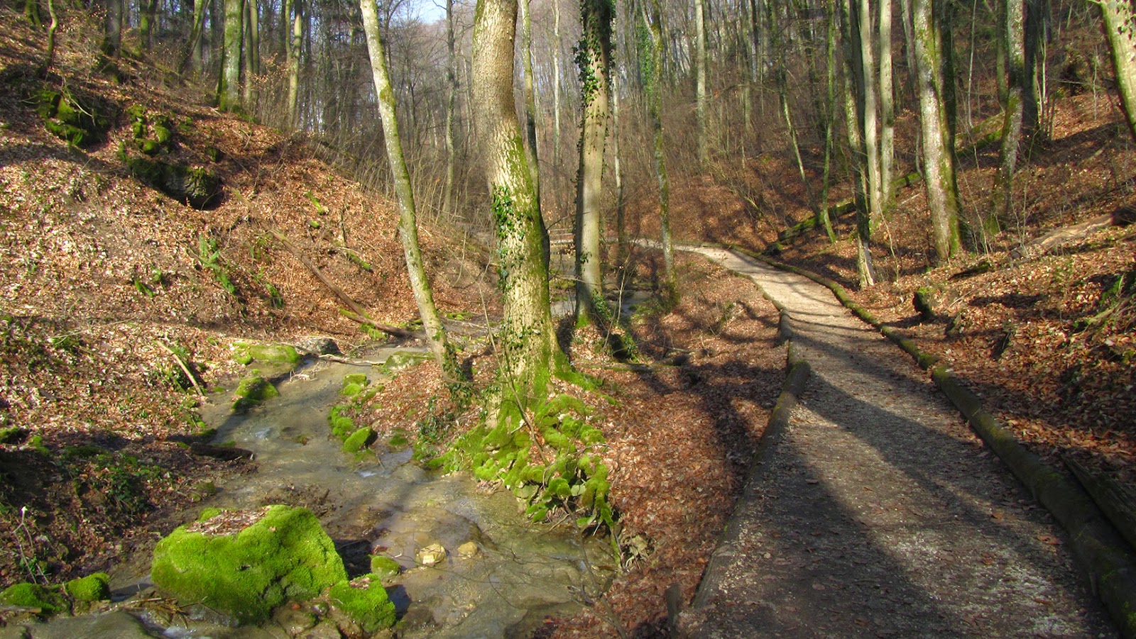 running-ameiseblog running-ameiseblog