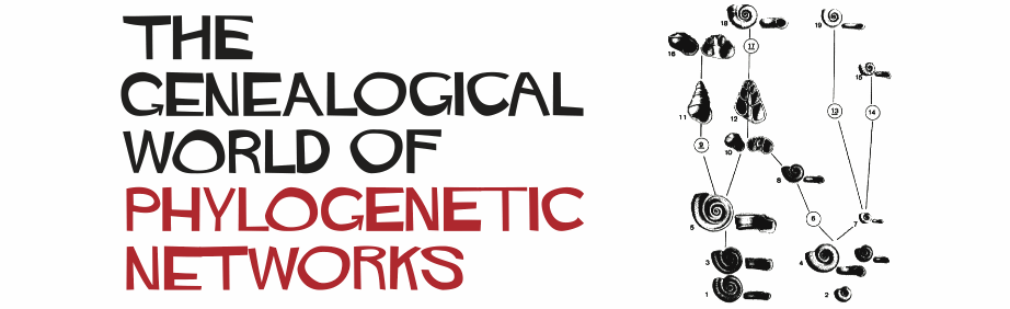 The Genealogical World of Phylogenetic Networks