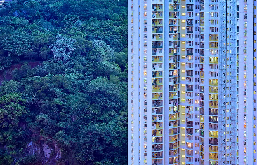 Nature in Hong Kong