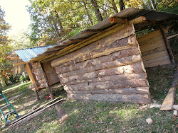 chicken goat coop coops simple cheap making build houses cabin layment cheapskate op plywood under around