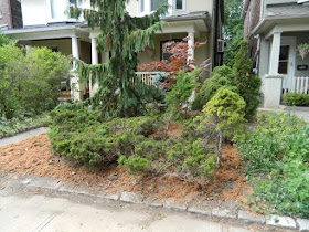 Leslieville Toronto front garden summer cleanup after by Paul Jung Gardening Services